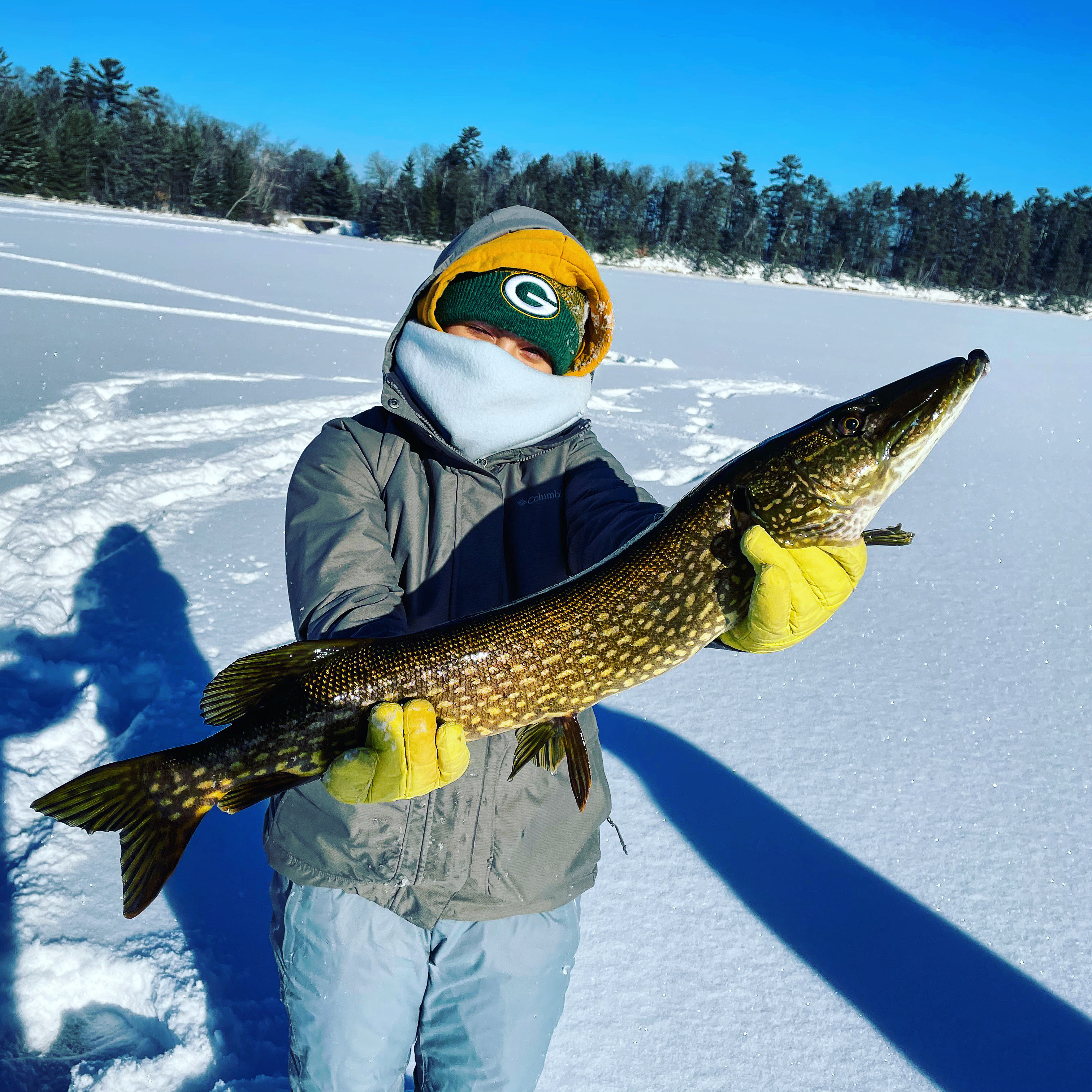 Vilas county guide fishing reports lake link vilas county Walleye walleye fish ice fishing walleye wisconsin fly fishing fishing trout muskie Wisconsin Fishing guide