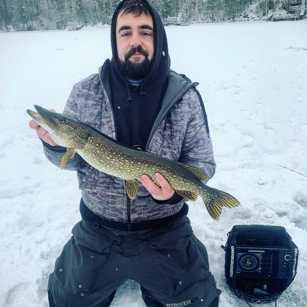 Vilas county guide fishing reports lake link vilas county Walleye walleye fish ice fishing walleye wisconsin fly fishing fishing trout muskie Wisconsin Fishing guide