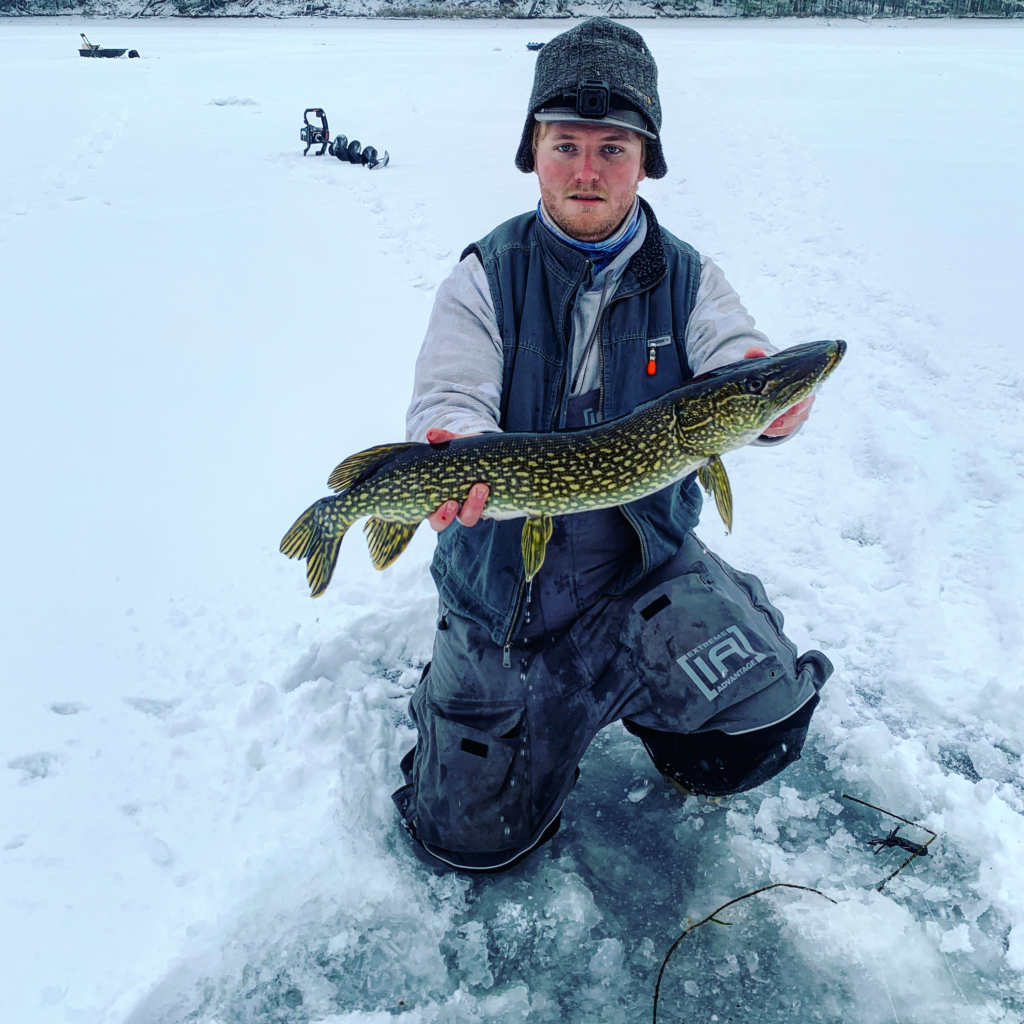 Vilas county guide vilas county fishing reports lake link vilas county Walleye walleye fish ice fishing walleye wisconsin fly fishing fishing trout muskie Wisconsin Fishing guide