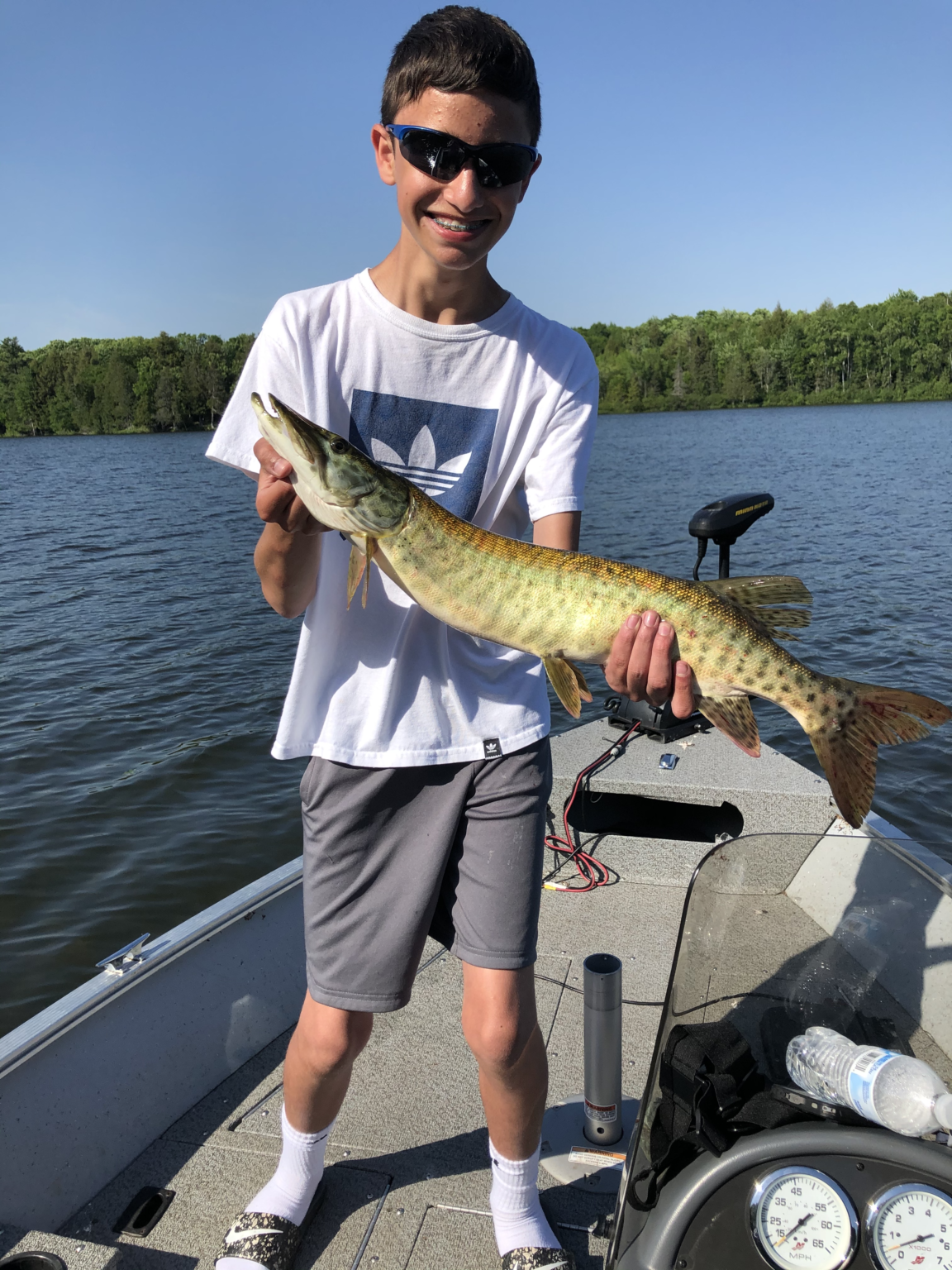 Vilas county guide vilas county fishing reports lake link vilas county Walleye walleye fish ice fishing walleye wisconsin fly fishing fishing trout muskie Wisconsin Fishing guide