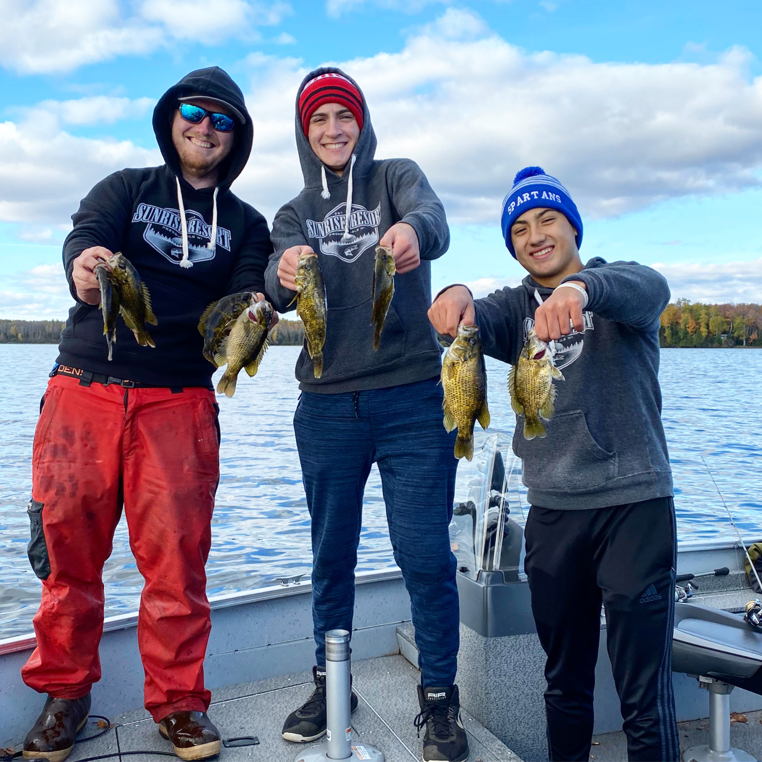 Vilas county guide fishing reports lake link vilas county Walleye walleye fish ice fishing walleye wisconsin fly fishing fishing trout muskie Wisconsin Fishing guide