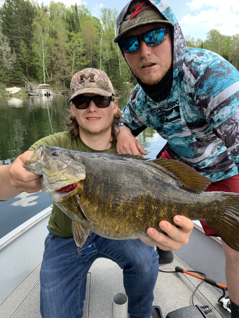 Vilas county guide Giant Pre-spawn female brown bass vilas county fishing reports lake link vilas county Walleye walleye fish ice fishing walleye wisconsin fly fishing fishing trout muskie Wisconsin Fishing guide