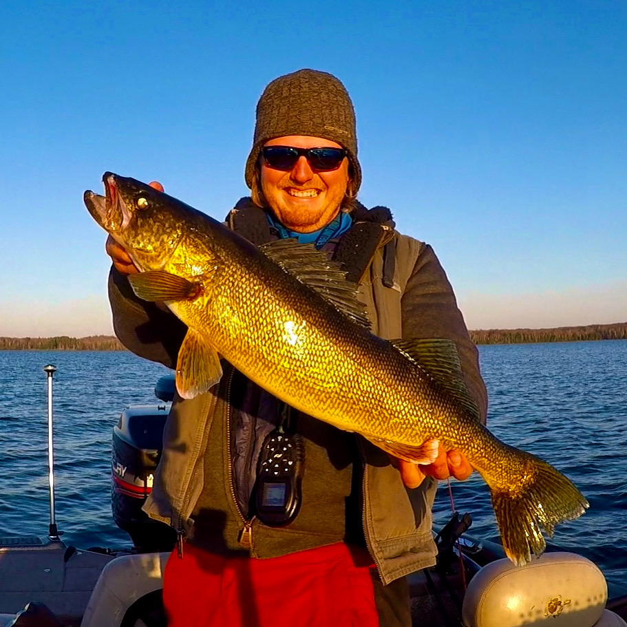 Vilas county guide fishing reports lake link vilas county Walleye walleye fish ice fishing walleye wisconsin fly fishing fishing trout muskie Wisconsin Fishing guide