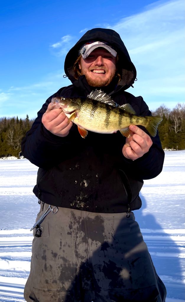 Vilas county guide fishing reports lake link vilas county Walleye walleye fish ice fishing walleye wisconsin fly fishing fishing trout muskie Wisconsin Fishing guide