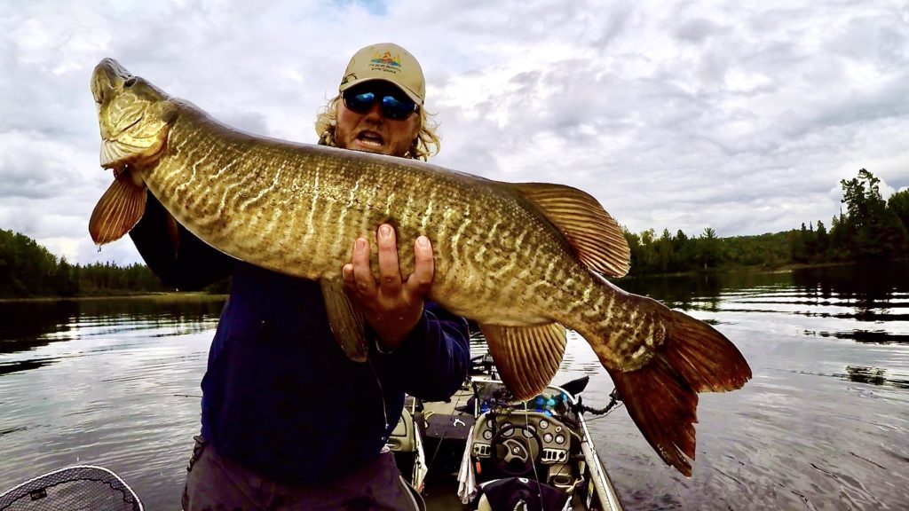 Vilas county guide fishing reports lake link vilas county Walleye walleye fish ice fishing walleye wisconsin fly fishing fishing trout muskie Wisconsin Fishing guide